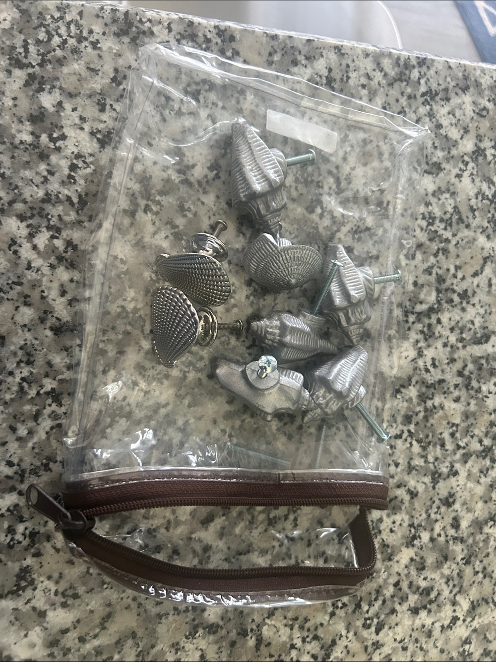 Set of pewter Shell Drawer Knobs - 8 Pieces